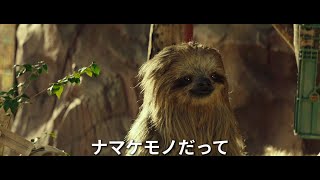 映画『シークレット・ジョブ』予告編