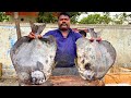 KASIMEDU 🔥 SPEED SELVAM | BIG BLACK SPADE FISH CUTTING VIDEO | IN KASIMEDU | FF CUTTING 🔪