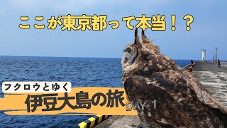 ふくろう とゆく伊豆大島の旅 day.1『東京から東京！？』Izu Oshima Trip with Owl SAMAR day.1 \