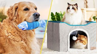 20 Pet Gadgets Designed to Simplify Pet Care