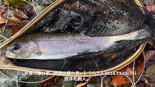 【山女魚の隠れ家。岩魚の隠れ家。】うらたん2024 12 25（5）