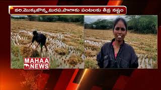 పెథాయ్ తుఫాన్ దాటికి పంట నష్టం | Phethai Cyclone | Mahaa News