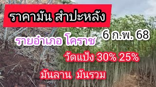 ราคามันสําปะหลัง 6 ก.พ. 68  รายอำเภอ โคราช วัดแป้ง 30% 25% มันลาน มันรวม