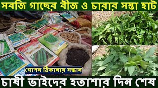 সবজি গাছের বীজ ও চারার সস্তা হাট | Vegetable seeds Market in West Bengal | Vegetable seeds for sale