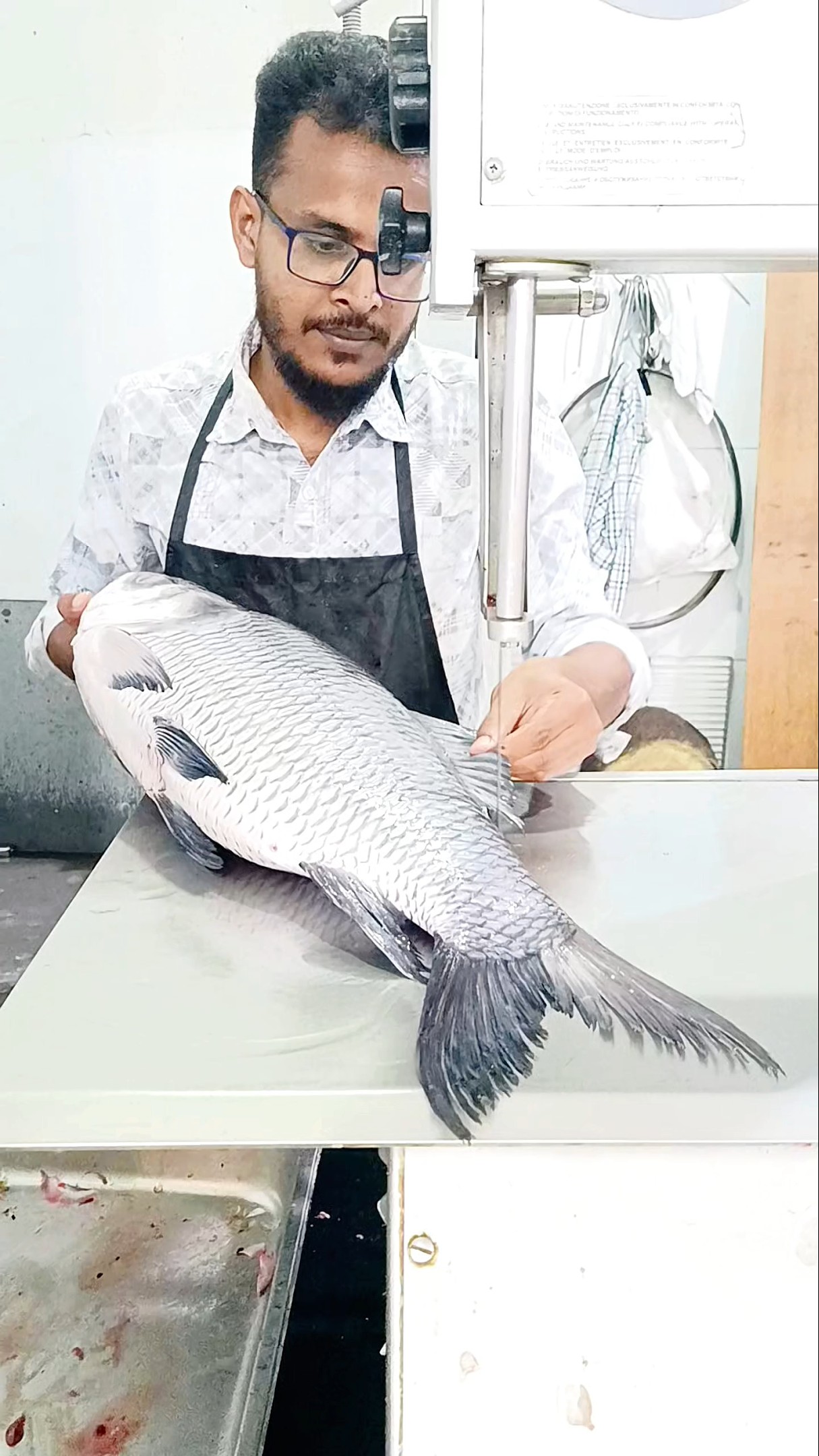 How To Big Fish Cutting Amazing Giant Super Big Fish Cutting Shorts How To Big Fish Cutting Amazing Giant Super Big Fish Cutting Shorts