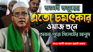 আলী আহমদ হুজাই হুজুরের ওয়াজে হাজার হাজার মানুষের ঢল। আলী আহমদ হুজাই ভারত  Ali Ahmed Hujai new waz