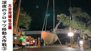 【特番！】大分市城址公園・深夜のクロマツ移植大作戦（3）「トレーラーに積載」