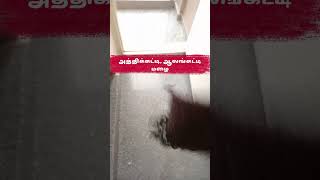 அத்திக்கட்டி, ஆலங்கட்டி மழை | Alangatti Mazhai| Hailstorm in My Village |  Ice Rain | Hail #hailrain