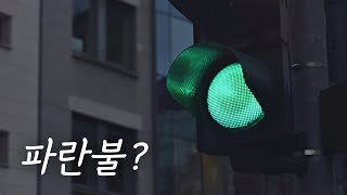 신호등의 초록 불을 왜 파란 불이라고 부를까?