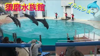 #イルカ #水族館 #神戸   イルカショー 須磨水族館