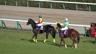 【競馬】第143回中山大障害J･GⅠ 本馬場入場 現地映像 メイショウダッサイ