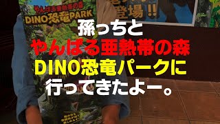 【孫っち】沖縄　御菓子御殿　やんばる亜熱帯の森　DINO恐竜パークにじぃじとばぁばと一緒に行ってきたよ。