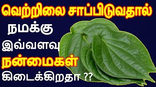 வெற்றிலை சாப்பிடுவதால் ஏற்படும் நன்மைகள் | Betel Leaves Benefits In Tamil | Vetrilai Nanmaigal