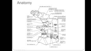 02a Microscope Lecture