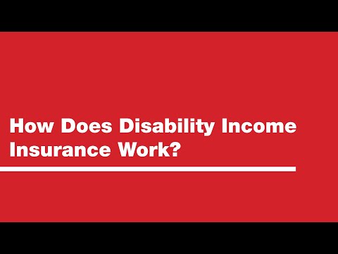 What is the purpose of disability income benefit?