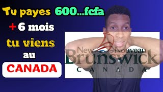 600000 seulement vous obtenez le visa Canada. Nouveau programme d'immigration au Nouveau Brunswick
