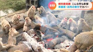 「燃料費の高騰」は動物園のサルにも影響　日本モンキーセンターの「冬の風物詩」は　愛知