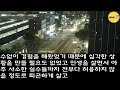 반전 신청사연 결혼전 한우집으로 불러내 외상값 내라한 시댁 이정도 못내주면 넌 파혼이야 급히따라온 내직원 얼굴보자 아수라장되는데 실화사연 사연낭독 드라마 라디오 사이다썰