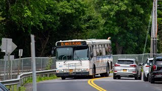 Westchester BeeLine Route 15: 2008 Orion 05.501 Suburban #801 Ride