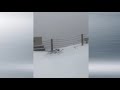 【天現異象】六月飛雪。6月1日，吉林省長白山下起了大雪。古有6月飛雪，竇娥冤傳說，喻民間有冤情 大紀元新聞網