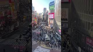 Pac-Man Takes on Shibuya Crossing: The Ultimate Tokyo Adventure! 👾✨