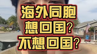 海外同胞们为什么有的人回国发展，有的人就再也回不去了？