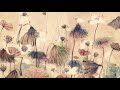 classical chinese music erhu bamboo flute life passes like a dream（花间梦事 by 王俊雄）