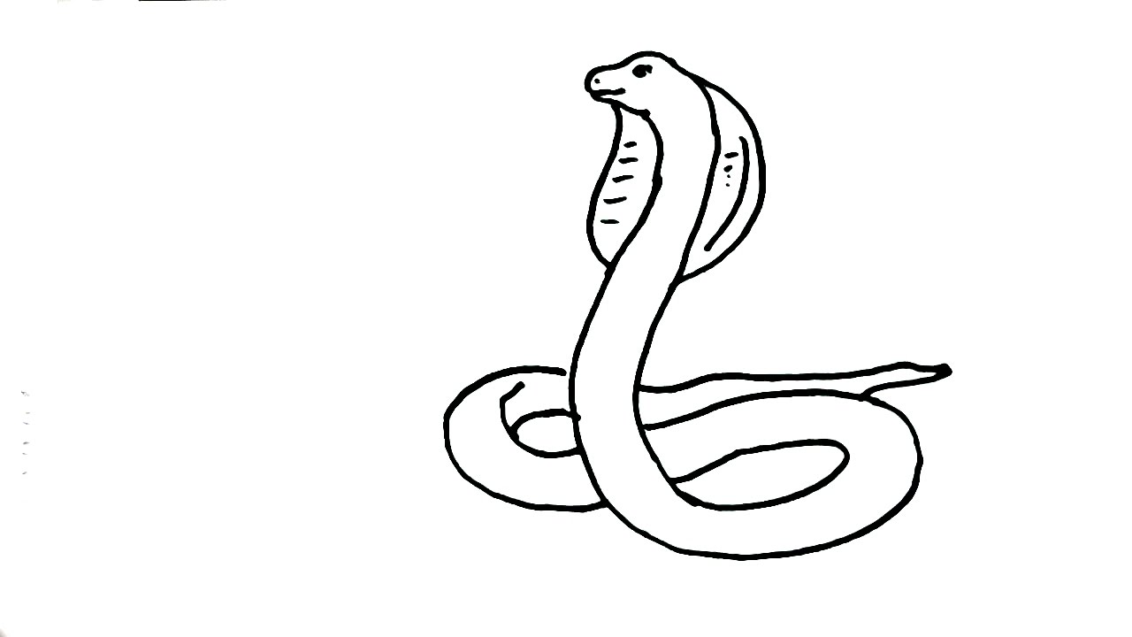 How To Draw Snake- King Cobra- In Easy Steps. Advanced Lesson. - YouTube