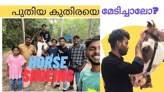 പുതിയ കുതിരയെ മേടിച്ചാലോ  | horse shoeing in Kerala| horse trimming in kerala | horse riders in kera