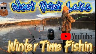 West Point Lake Winter Time Fishing! #GIANT Channel Catfish (for WPL)