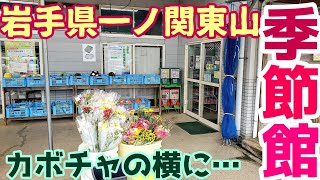 カボチャの横にエモイレトロガチャ発見！岩手県一関東山【季節館】