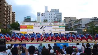 旋光 　うらじゃ２０１７　下石井公園会場2日目　４ｋ