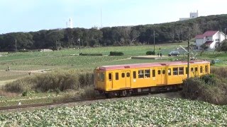 【銚子電鉄】灯台を背景に君ヶ浜駅～海鹿島駅を走行するデハ1001