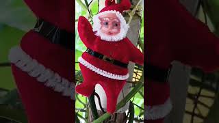 ക്രിസ്തുമസ് ഒരുക്കം (Christmas Decoration)#India#Kerala#Christmas#Decoration#Beauty