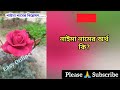 নাইমা নামের অর্থ কি naima name meanings what is the meanings of naima easy online tv