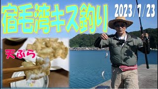 宿毛湾夏のキス釣り♪