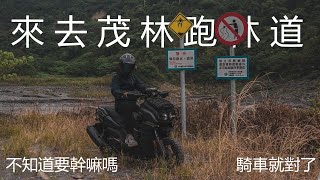 來去茂林跑林道 不知道要幹嘛嗎 騎車就對了