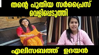 തന്റെ പുതിയ സർപ്രൈസ് വെളിപ്പെടുത്തി എലിസിബത്ത്  ഉദയൻ