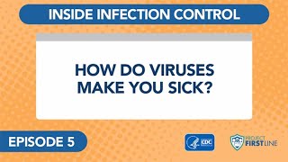 Episode 5: How do Viruses Make You Sick?