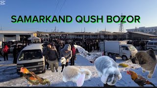 САМАРКАНД ҚУШ БОЗОРИ 22.12.2024. ЙИЛ #uzbekistan #samarkand #shorts #sardoruzbekistan