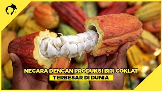 Inilah 8 Negara Penghasil Biji Coklat Terbesar di Dunia !!