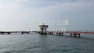 fishingmax垂水店7/26須磨海釣り公園