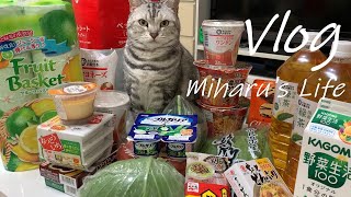 【暮らしvlog】ネットスーパー購入品紹介 / 40代主婦