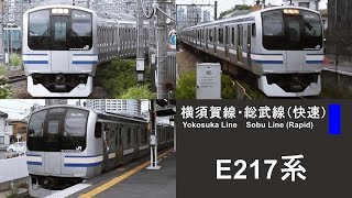 15両編成！横須賀線 E217系 - Commuter Train in Japan