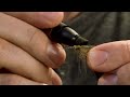 how to • fly tying • foam caddis • fishing tips