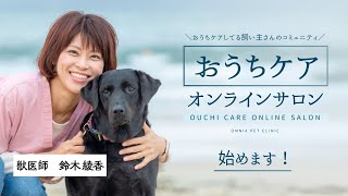 「犬猫おうちケア」のためのオンラインサロン始めます！