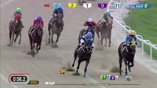 매튜힐 중계 (Race Call By Matthew Hill) 170827 Seoul R8 1400m