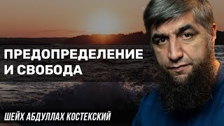 Предопределение и свобода - шейх Абдуллах Костекский