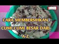 CARA MEMBERSIHKAN CUMI CUMI BESAR DARI A-Z