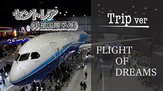 【Trip】無料！フライトオブドリームズ　中部国際空港（セントレア）フライトパークに行ってきました！